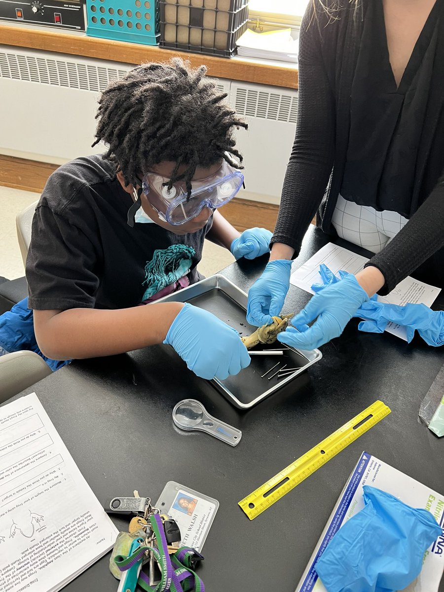 Sophia Burden tweet media