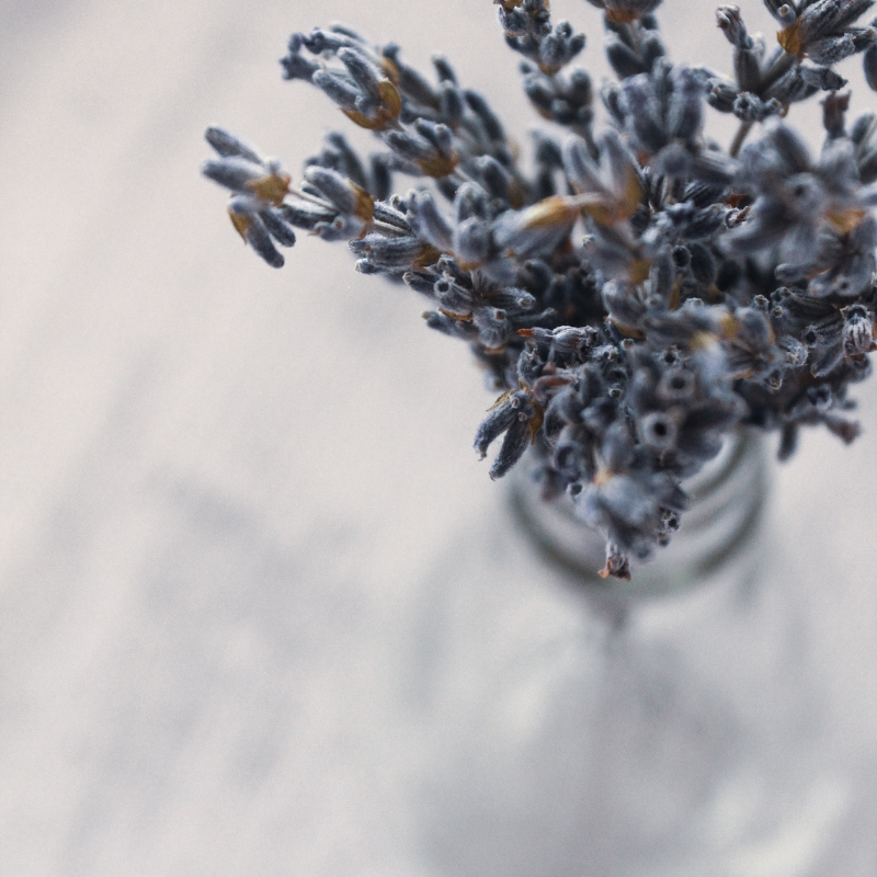 genesee_glass's tweet photo. Place a bunch of herbs like lavender in a vase to give off delicious scents all day! #HomeProject #HouseDecor #Decorating https://t.co/lXxeBn8XQe