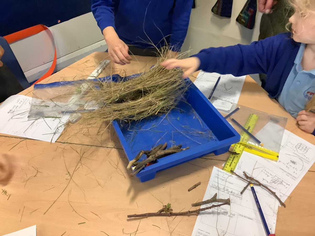 YarmPS's tweet photo. KS1 exploring properties of materials through building houses for the ‘Three Little Pigs’! All was going well until the Big Bad Wolf came to blow them down!
#ypsscience #ypsks1 https://t.co/zRLMQE2PBA