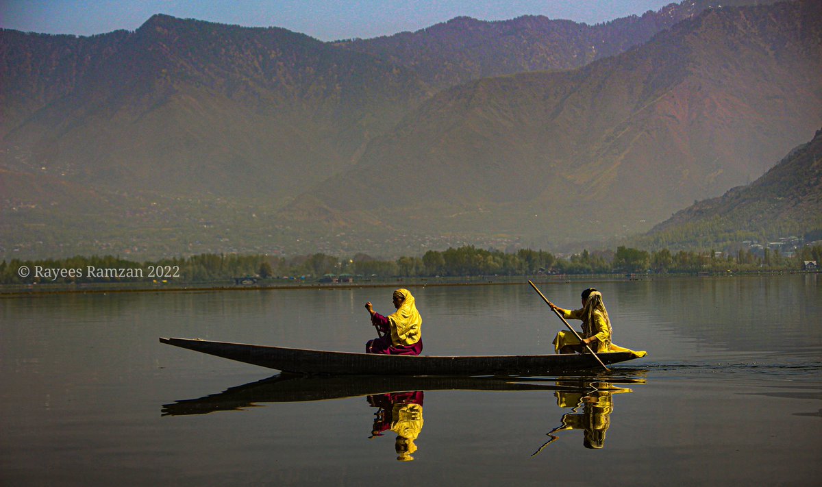 Females rowing a Shikara boat on the waters of Dal Lake in Jammu and Kashmir union territory of India. 
#Kashmir #Photos #indiaphotos #IncredibleIndia 
@incredibleindia @JandKTourism @DrGnitoo @xeeshan_KAS @tourismgoi @srinagaradmin @Junaid_Mattu