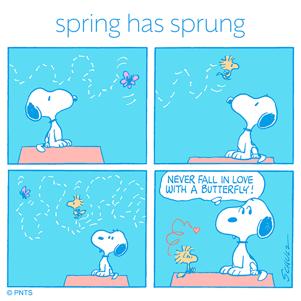 Snoopy's tweet photo. Almost time for butterflies 🦋 https://t.co/Md3ZBgWFXK