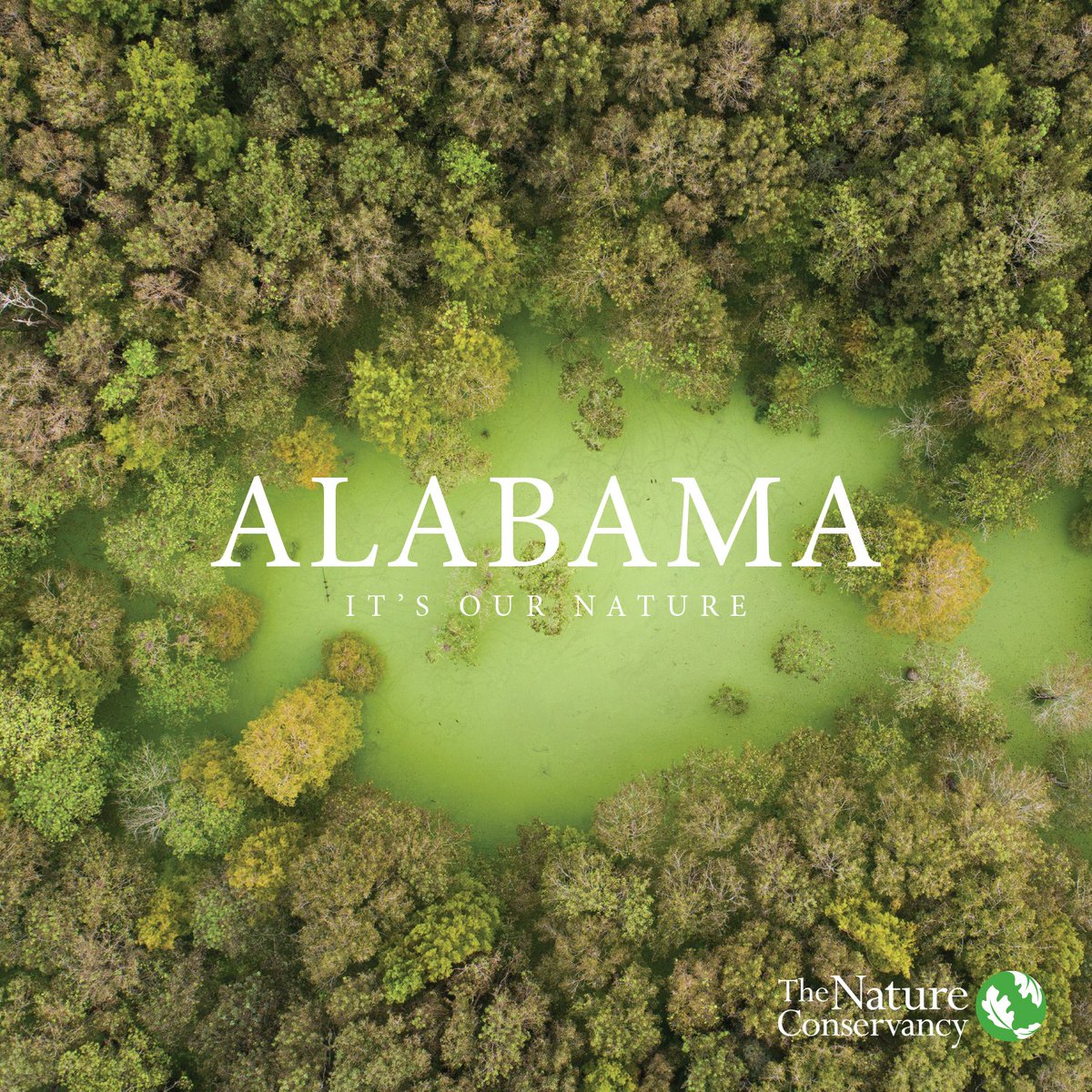 The Nature Conservancy in Alabama is #HIRING for an Associate Director of Philanthropy in Alabama (Home Office in Huntsville) - posting open until April 15, 2022.Visit bit.ly/3JifR7r  to view the details and apply.