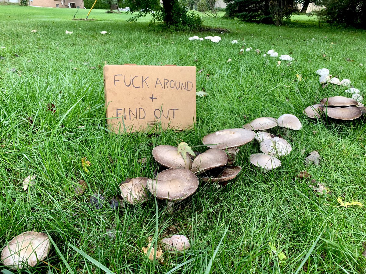 wirewalking's tweet photo. i clear out my random saved images file periodically but this one has been spared the cull a few times now. apparently you're gonna have to pry it out of my cold dead hands https://t.co/F1BTVJW72f