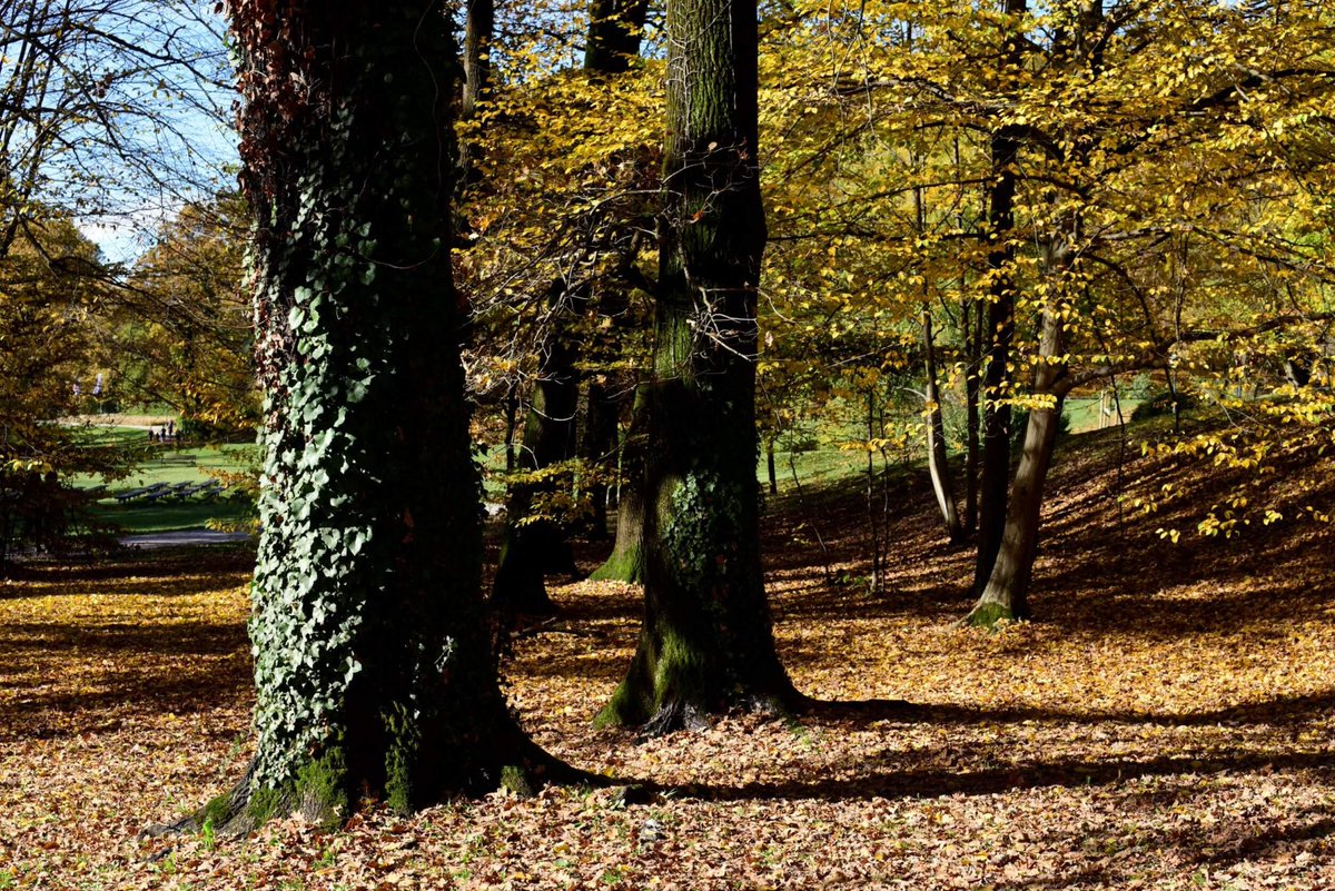 Inherit Interreg Mediterranean tweet media