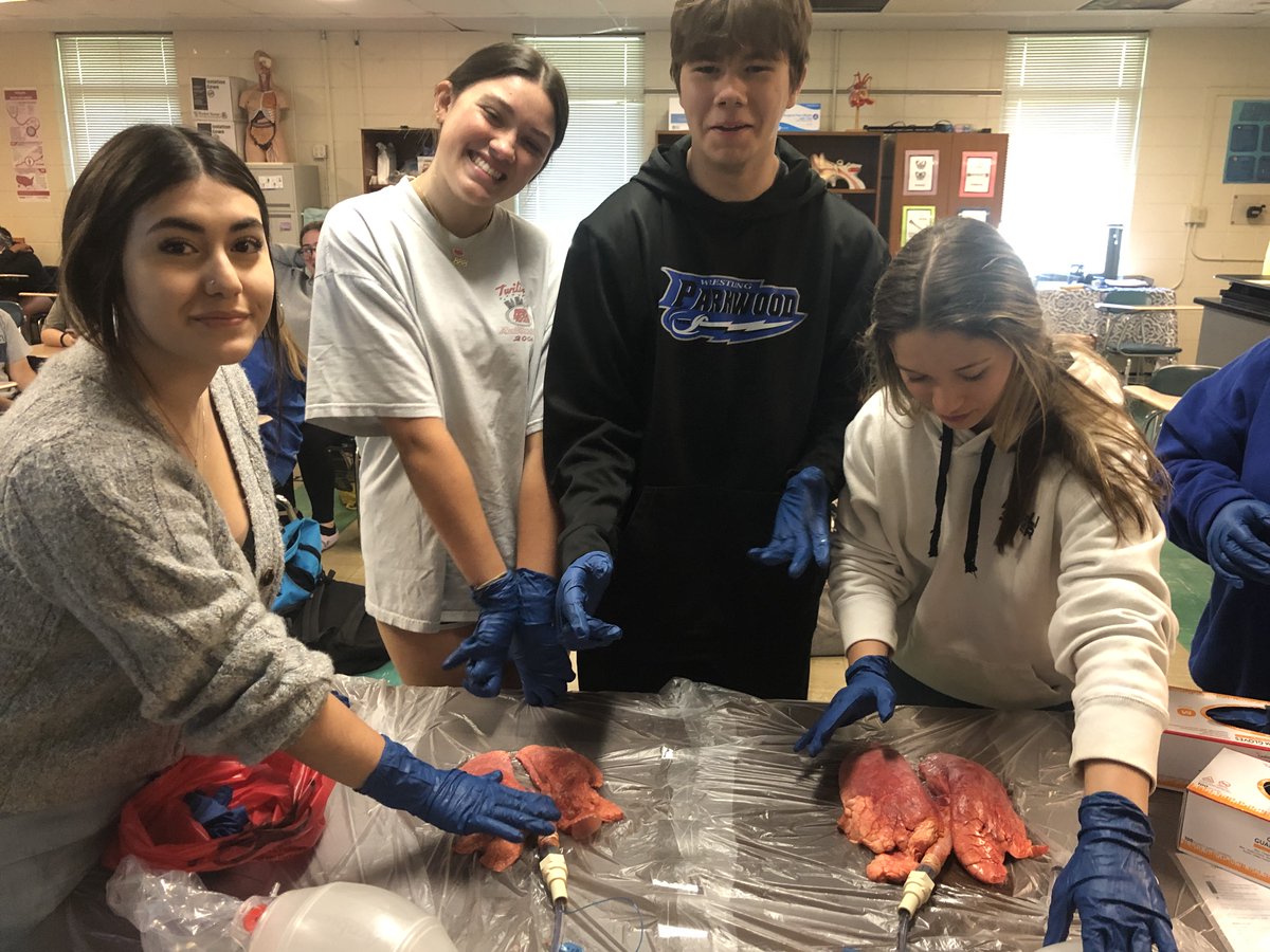 Parkwood High School tweet media