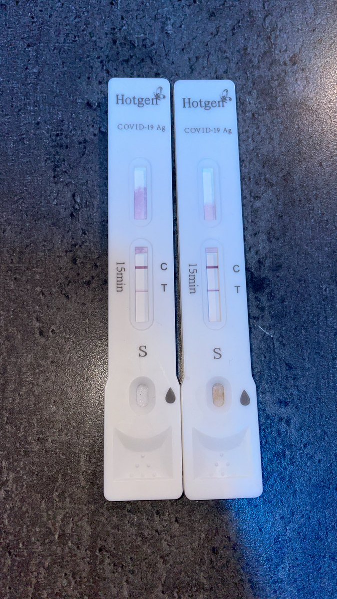 Papa Clu 🦁 tweet media