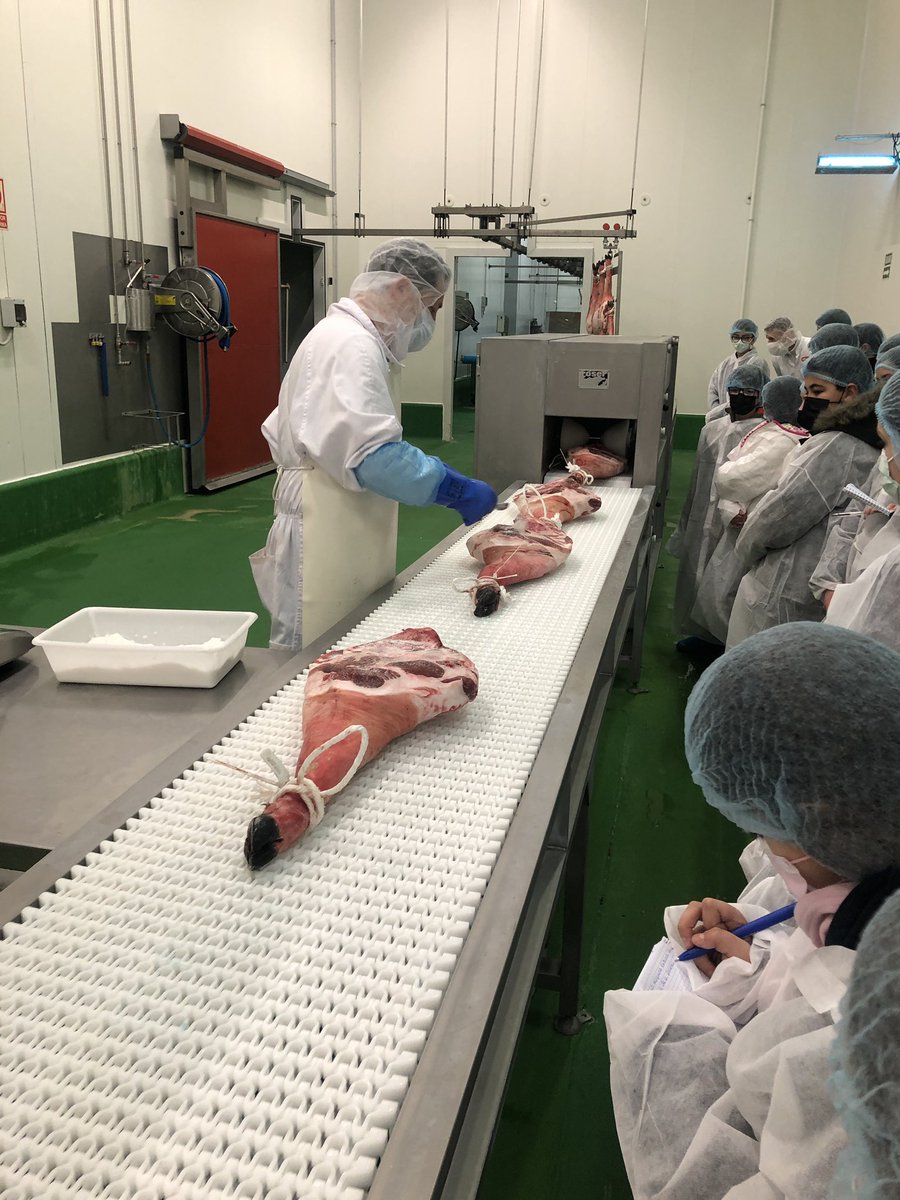 educacyl's tweet photo. En @ceiplaladera: El alumnado de 5º y 6º visita la fábrica de @iglesiasSA en #moriñigo  gracias al programa @EFCyL #Empresafamiliarenlasaulas
Una visita muy aprovechada en la que han podido conocer todo el proceso de curación del jamón y sus diferentes variedades
#CentrosEducacyl https://t.co/hdwf5Npk74
