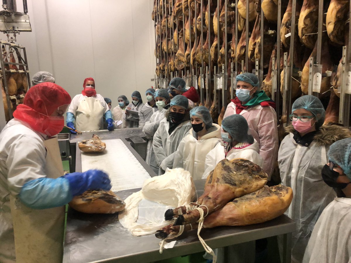 educacyl's tweet photo. En @ceiplaladera: El alumnado de 5º y 6º visita la fábrica de @iglesiasSA en #moriñigo  gracias al programa @EFCyL #Empresafamiliarenlasaulas
Una visita muy aprovechada en la que han podido conocer todo el proceso de curación del jamón y sus diferentes variedades
#CentrosEducacyl https://t.co/hdwf5Npk74