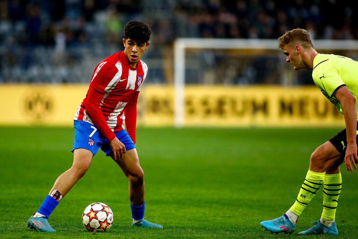 Signal Iduna Park⚽️