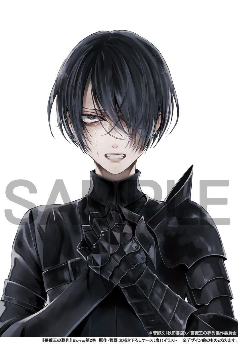 薔薇王の葬列 B5サイズ折立ミラー リチャード ヘンリー 🌹Blu-ray全巻購入法人特典紹介🌹 👑A-on STORE 菅野文描き下ろし第2巻