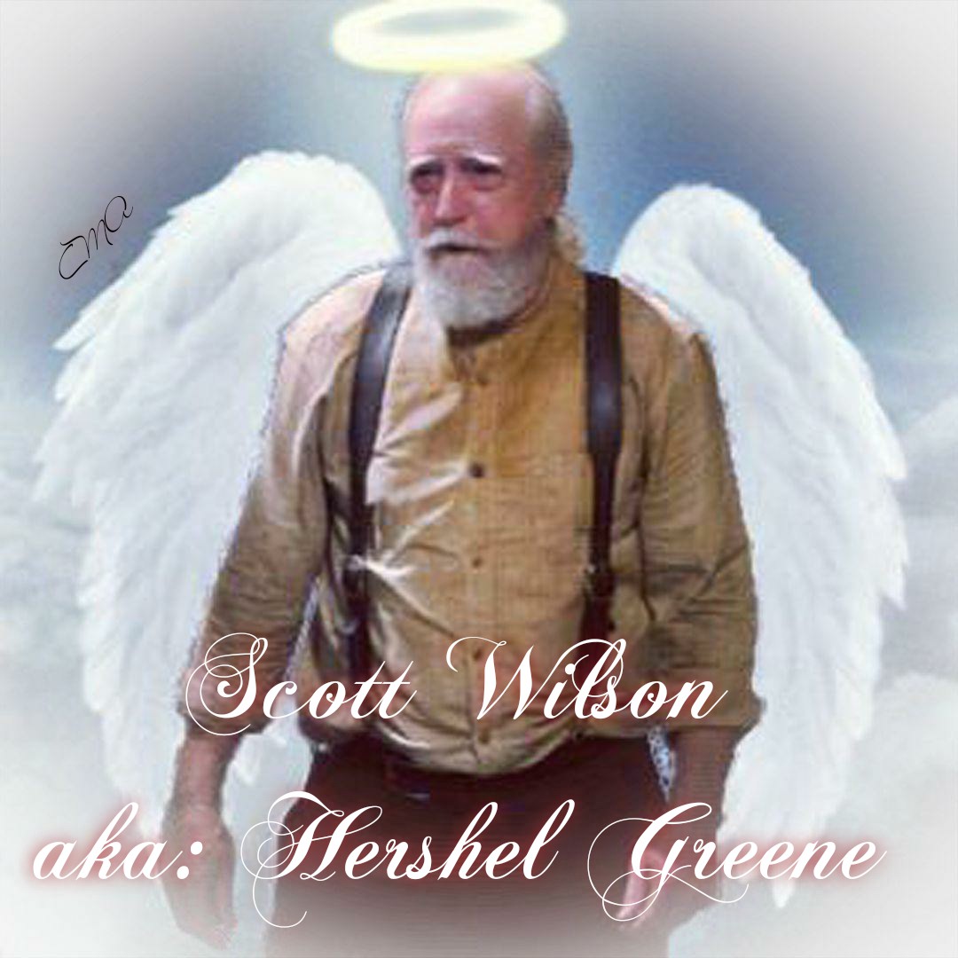 Happy Heavenly Birthday Scott Wilson    