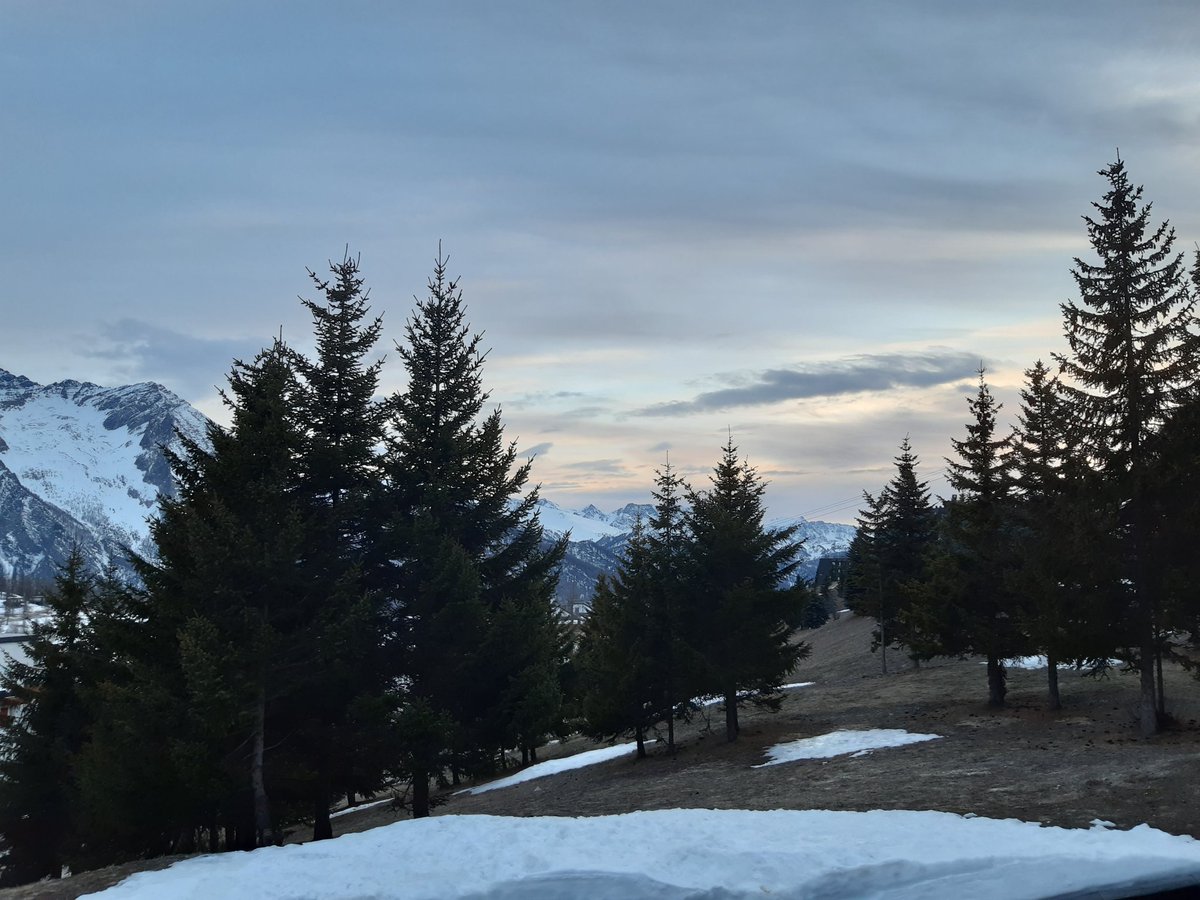 PaolassoUmberto's tweet photo. GM from my garden ππ³
This morning I was working on Photoshop, I decided to take a break this afternoon πβ
#NFTCommunity #NFT #NFTs #NaturePhotography #mountains #snow #projectplanfts https://t.co/84puHcy1Pw