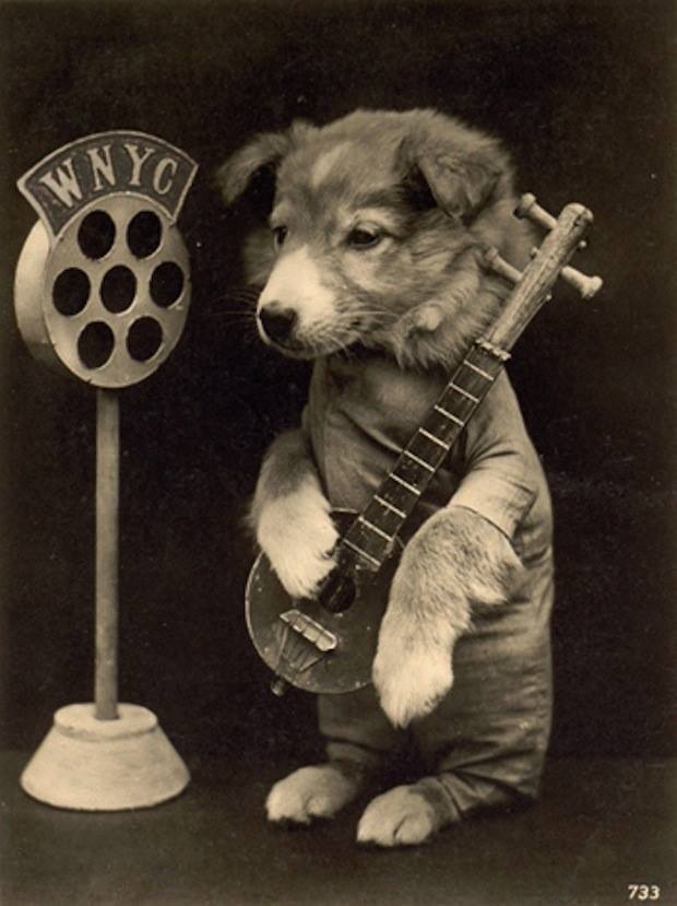 YoKulelee's tweet photo. 3 Strings… What is this instrument officially called?
#ukulele #3strings #instrument #name #dog #ukuleles https://t.co/D4JsuvFAdr