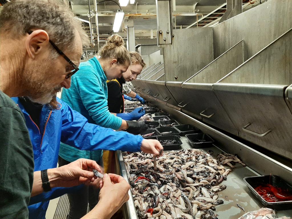 Last few days for application! Join us for the fisheries acoustics research in Wageningen Marine Research @WURmarin. Deadline is 3rd of April.