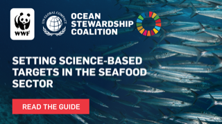Our new guide on climate target setting in seafood launched today. Read it here: worldwildlife.org/publications/s…