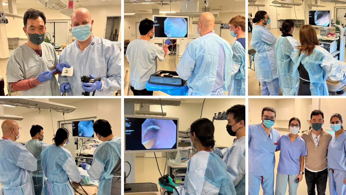 CreoEndoscopy's tweet photo. 🇺🇸 Great #3rdSpaceEndoscopy training in the Chicago area with top physicians @FarisMuradMD, @drsethinyc, @UzmaSiddiquiMD &amp; Dr. Najib Nassani. Dr. Norio Fukami led the group through a full day of #ESD hands-on training with great success! https://t.co/K0gaqMtEaa
