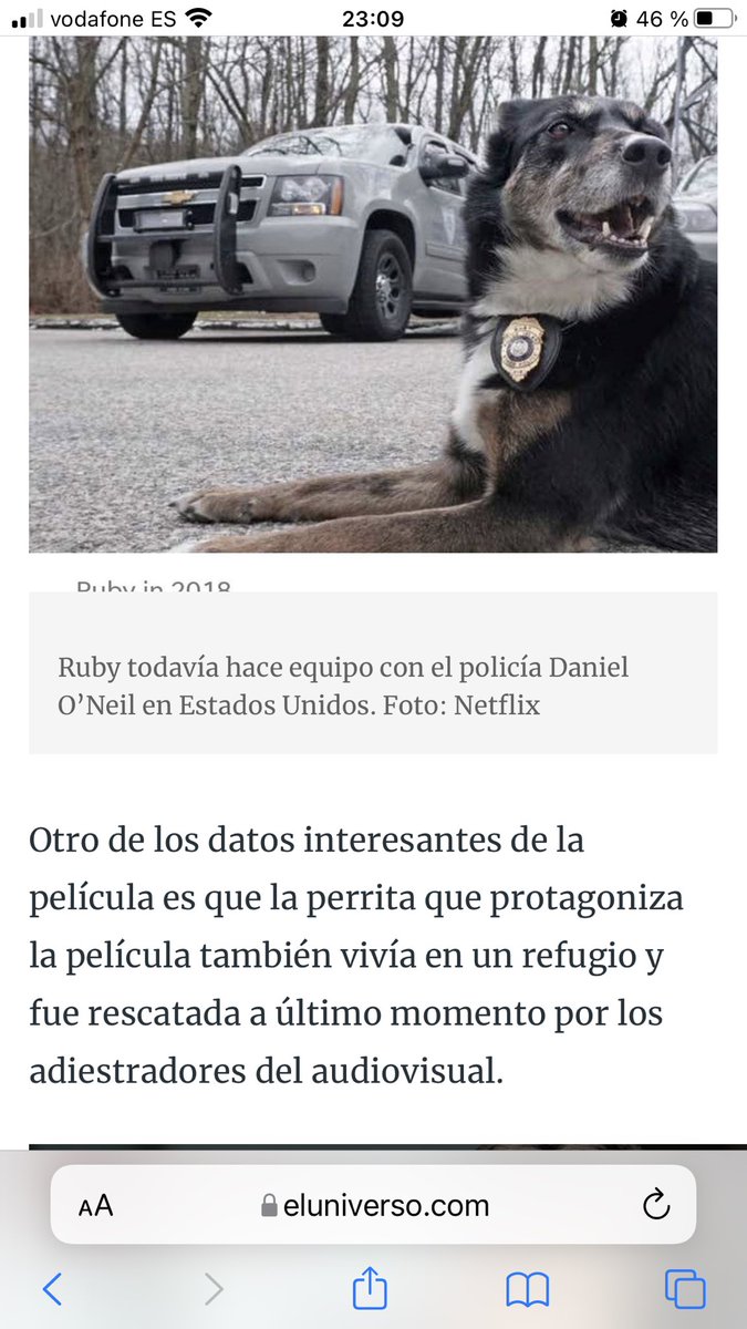 86Monik37's tweet photo. Acabo de ver esta película basada en una historia real y me ha encantado ❤️🥰 #ElRescateDeRuby #Netflix https://t.co/fIqSYjyXHW