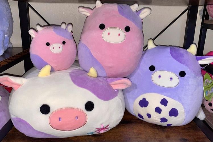 SoftnessDaily's tweet photo. squishmallow cows 🎀 https://t.co/1D8CEYtwY5