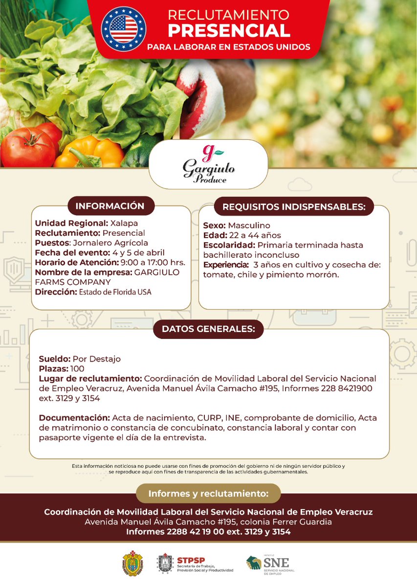 STPSPveracruz1's tweet photo. ¡Atención! Tenemos nuevo reclutamiento presencial para Jornaleros Agrícolas. 📣 🥬

Acude este 4 y 5 de abril a la Unidad Operativa Regional Xalapa, en horario de 9:00 a 17:00 horas. Te dejamos los requisitos y documentación en la imagen. https://t.co/hLaTVA4TuV