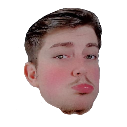 diegorosafy tweet media