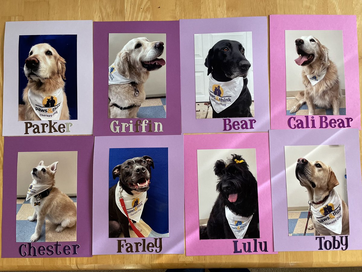 pawsandthinkinc's tweet photo. We are so excited welcome these Paws &amp; Think therapy teams to Ascension St. Vincent. They are all ready to go and we can't wait to see the happiness they'll bring to patients, families and associates!

#PawsAndThink #therapydog #therapyteam https://t.co/PYP6wrvuGe