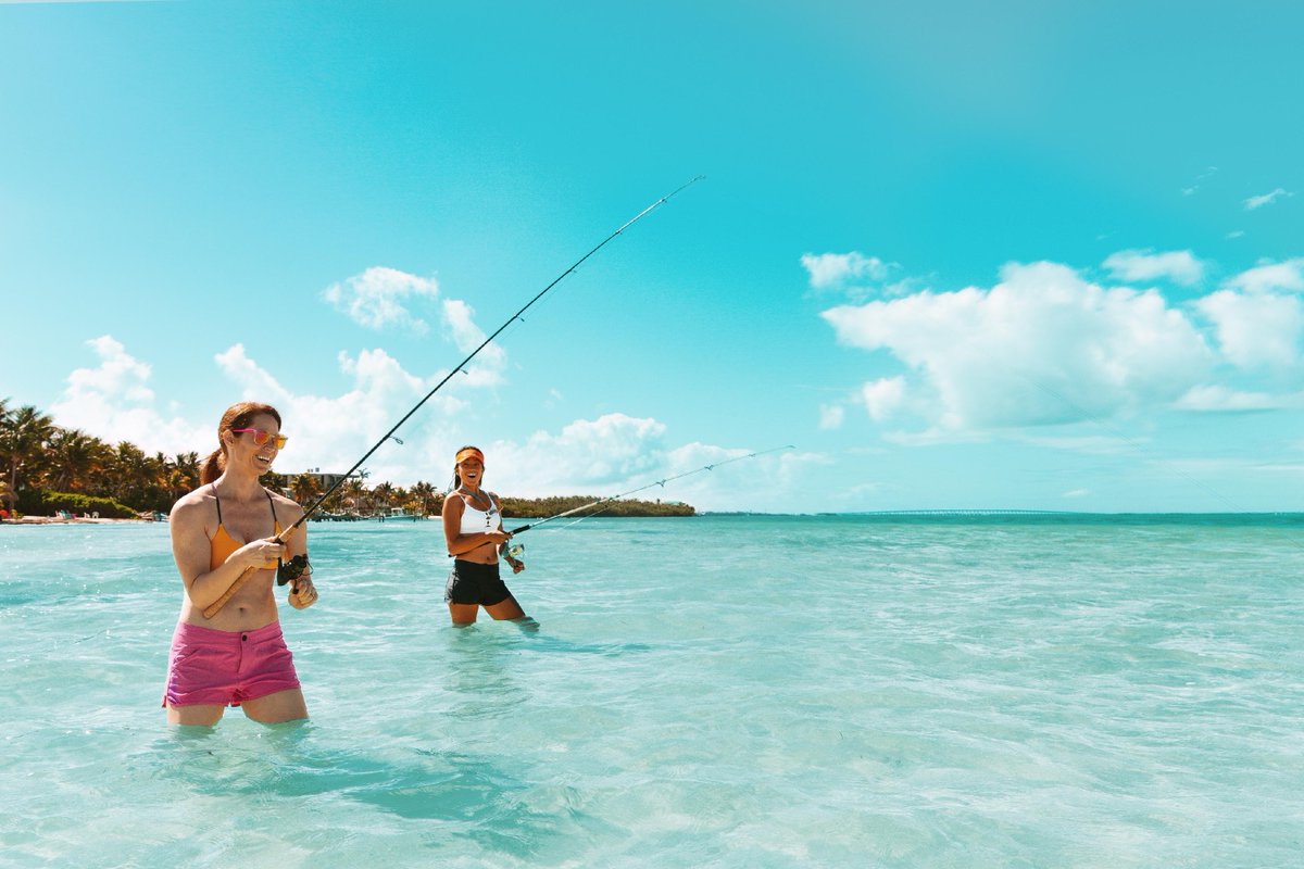 floridatravelc's tweet photo. Florida is a world-renowned fishing destination as a result of its great weather, diverse habitats, and responsible management.

Where is your favorite Florida fishing destination?

📷 : SPARK

#VisitIslamorada #Florida #Travel #FloridaTravel #LoveFL #VisitFlorida #Vacation #... https://t.co/zKMEp4cYG3