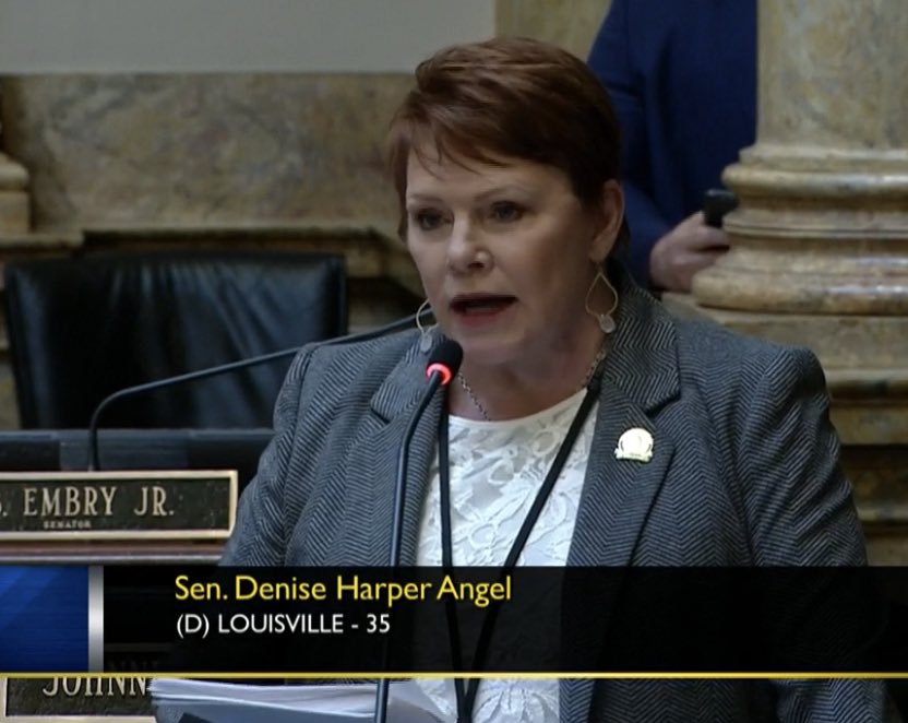 Sen. <a href="/KYHarperAngel/">Denise Harper Angel</a> stands to present a floor amendment she filed to HB 3 that would exempt cases of rape and incest #kyga22