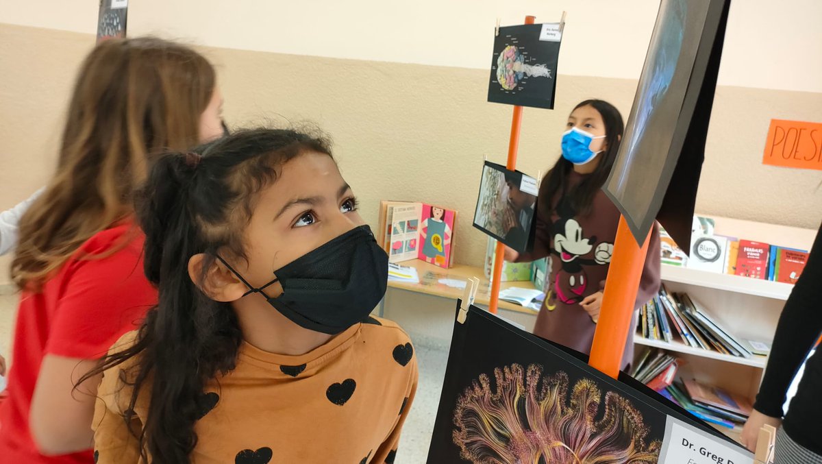EscolaGayarre's tweet photo. Avui, a la Comunitat de Grans, l'aula de 4t s'ha convertit en una sala d'exposició artística on el cervell ha estat el protagonista. Imatges provocadores que han donat peu a converses sobre sensacions, records, coneixement i art... molt d'art. https://t.co/kJuDe5YorG