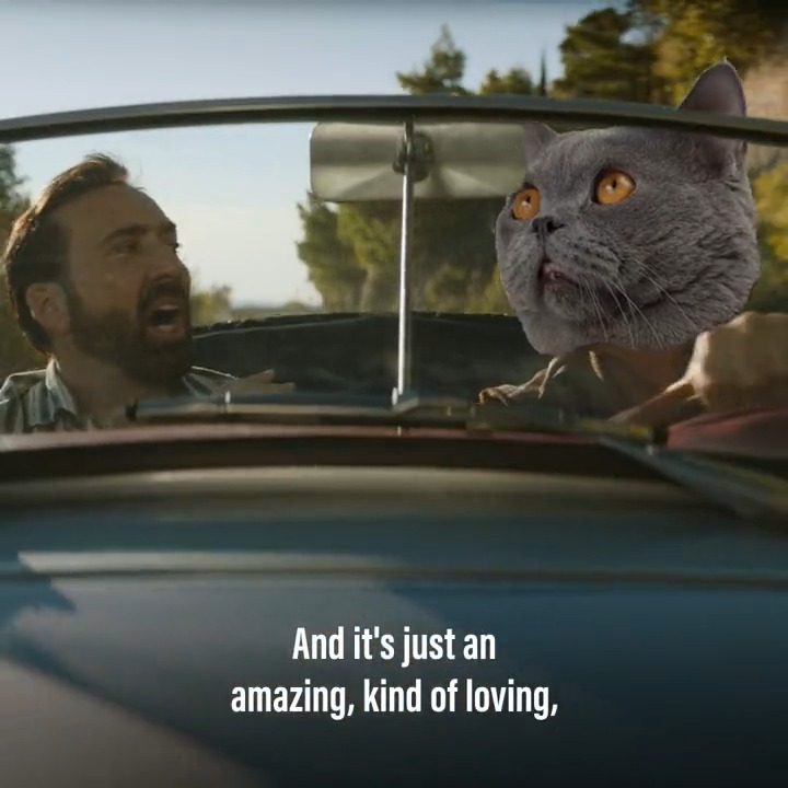 猫好きおじさん”ニコケイが愛猫を語る!そして<ニコケイ×猫>をテーマにしたシュールすぎる絵画も爆誕!! | 新着ニュース | BANGER!!! 猫好きおじさん”ニコケイが愛猫を語る!そして<ニコケイ×猫>をテーマにしたシュールすぎる絵画も爆誕!! | 新着ニュース | BANGER!!!