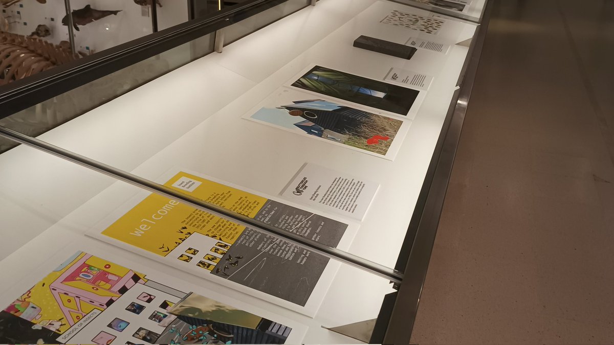 tlt_ki's tweet photo. In between the amazing sessions at the #SCCS2022 , I has some time to go through the wonderfully curated #ButterfliesThroughTime exhibit @ZoologyMuseum! Beautiful displays on understanding long-term change in Cambridgeshire butterfly species from museum specimens and notebooks! https://t.co/vuV6qfTKPI