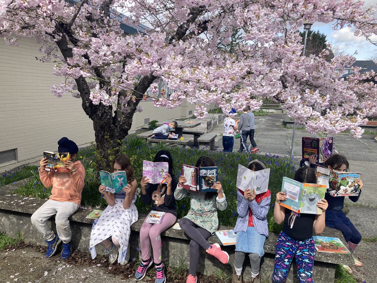 Mdonaldson_TL's tweet photo. Spring Reading in our courtyard!
@dilmcdonough #sd36tl #sd36learn @CurrieEcole https://t.co/mBKPiLQRj6