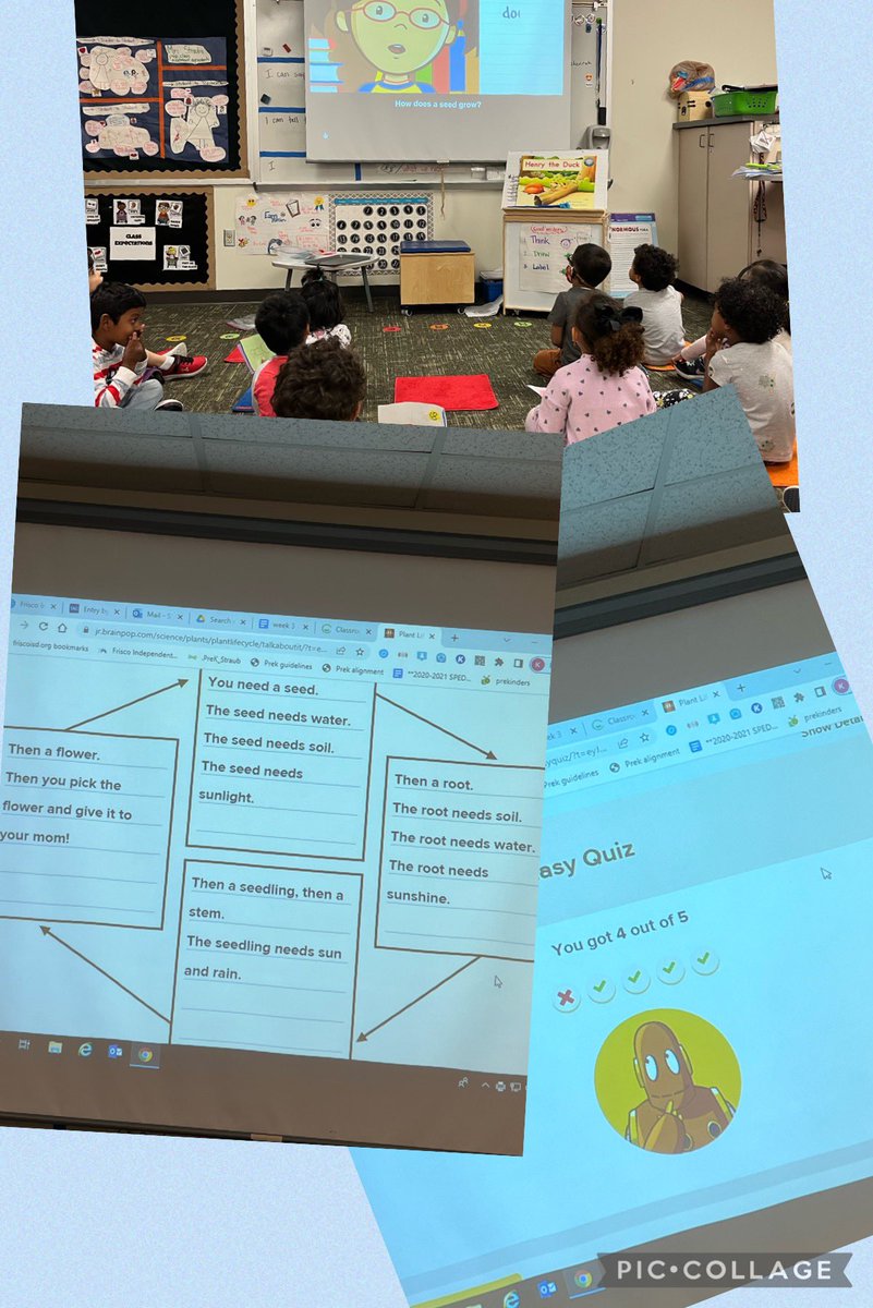 kel_straub's tweet photo. We used #brainpopjr to continue our learning about plants! Ss loved watching the clip, talking about and then “taking a quiz”! Thinking outside the box to use different ideas with PreK.#STEMarchMadness @shawneetrailelm @ https://t.co/Jeh9krzF9C