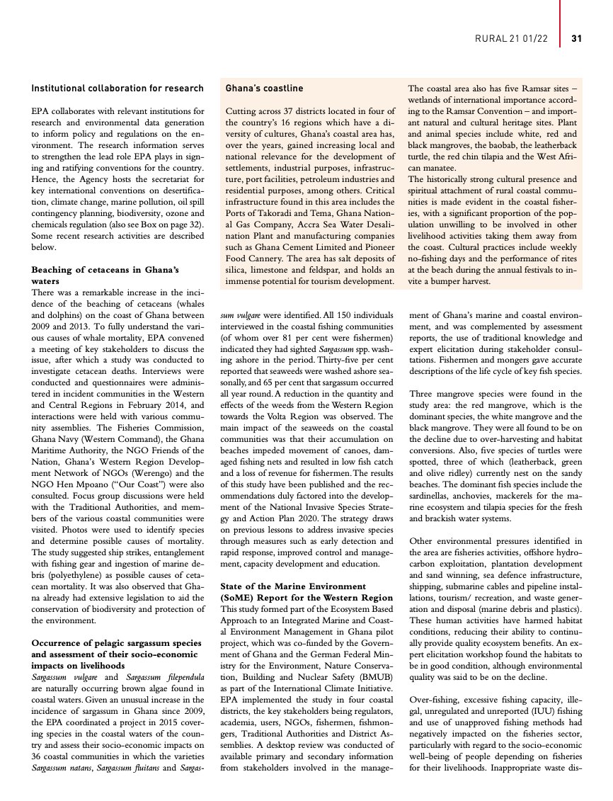 Mami Wata Project tweet media