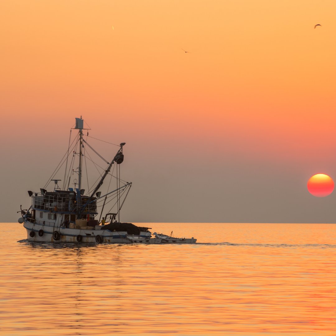 EatBlueNow's tweet photo. A report titled “Status of the Stocks” has found that again, the world’s commercial tuna catch is being sourced from unsustainable stocks. The report indicates that species like Pacific bluefin tuna and others are all considered overfished.
Read more: https://t.co/9Fmmm190Jc https://t.co/318a8cgRAx
