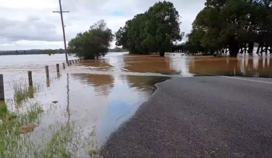 Bookster12's tweet photo. Thoughts with my family and friends on the North coast. A night of very heavy rainfall has seen the Wilson's river reach the top of the levee bank in Lismore at 10.6m, the second flood in a month when people have already lost everything. Eltham road near Clunes yesterday. https://t.co/ucdC2UgYVy