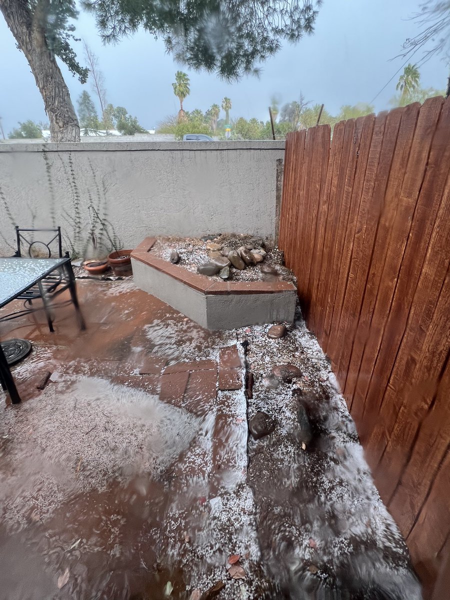 Lori Harty tweet media