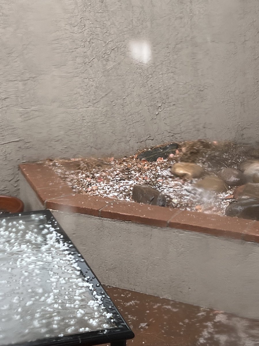 Lori Harty tweet media