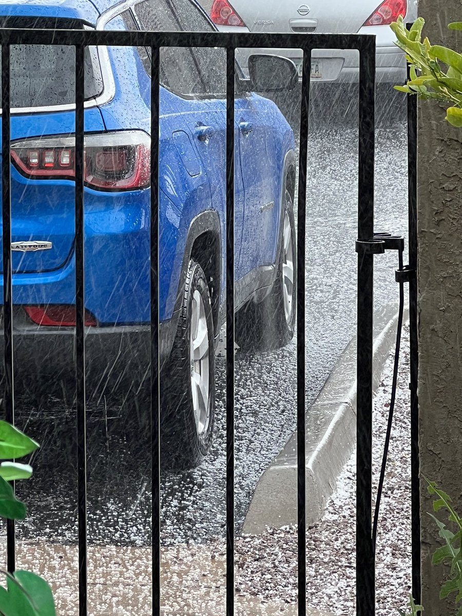 Lori Harty tweet media