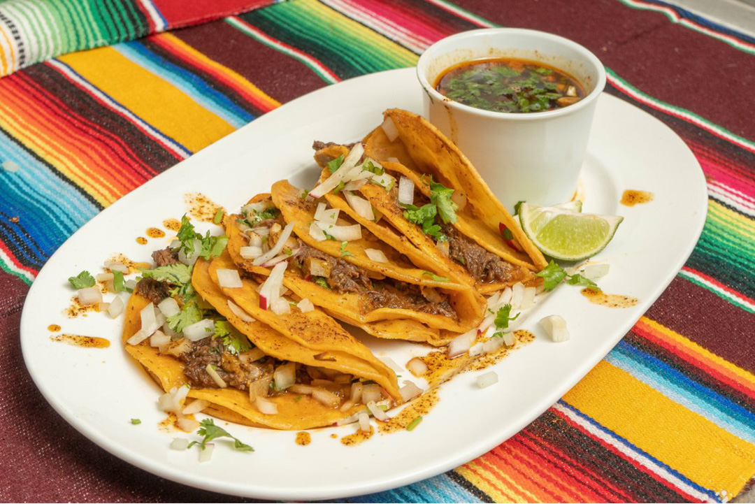 Total 112+ imagen taco dorado birria Abzlocal.mx