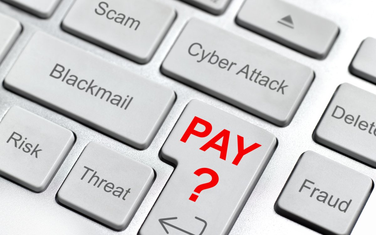 trinetsg's tweet photo. Who are the cybercriminals behind the massive NVIDIA and Samsung hack attacks? https://t.co/WyB1P86m4Z https://t.co/3XglU3BPWG