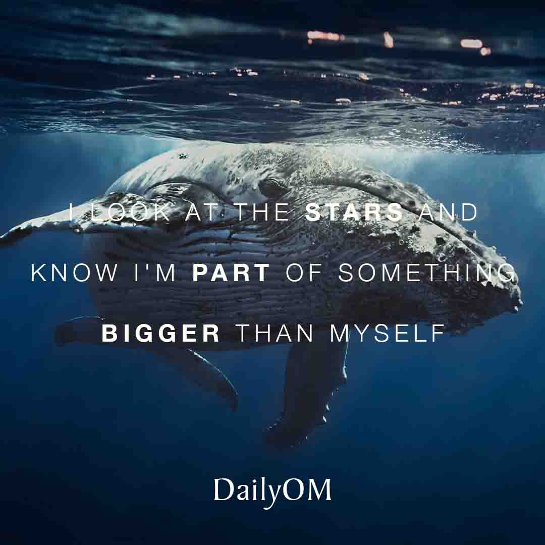 dailyom's tweet photo. I look at the stars and know I'm part of something bigger than myself #DailyOM #Affirmations #Quotes #QOTD #Stars #NightSky #Universe #Galaxy #SomethingBigger #PartOfSomething #BiggerThanMe https://t.co/OEiQdiaVgK