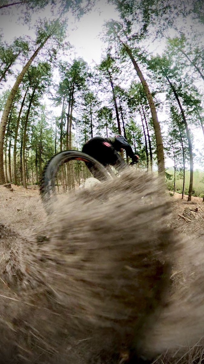 Chopper Fielder tweet media