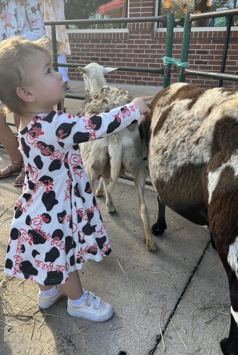 Allegro_W_Brio's tweet photo. #SweetB photo dump!! She LOVED @ChickfilA Rodeo Night!! https://t.co/mCXO9bzl0O