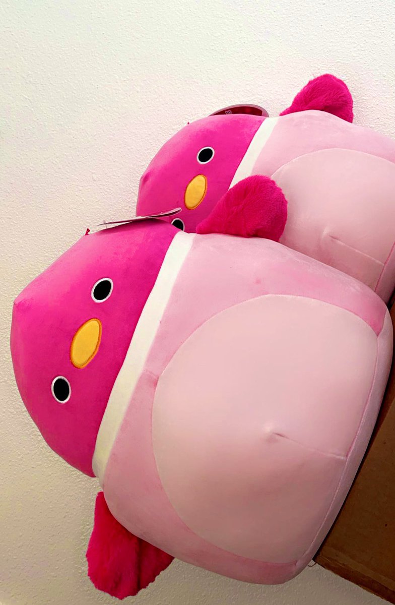 _lilinoe_'s tweet photo. My big baby Squishmallow Della is home💖 @squishmallows https://t.co/uF1aG7qg3l