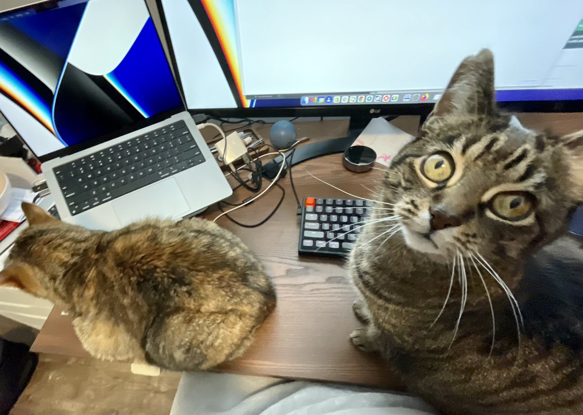 Jennie from the Rock tweet media