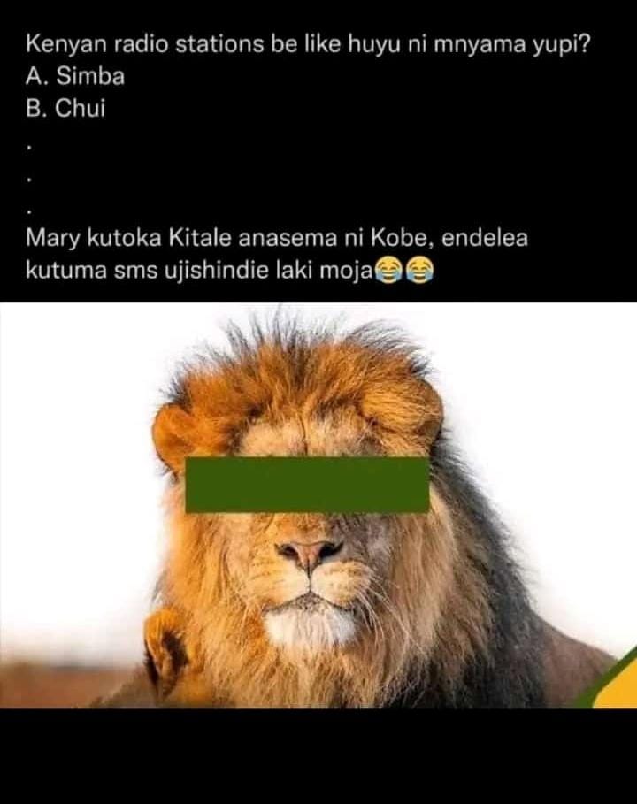 melongur's tweet photo. @citizentvkenya tag your radio station we laugh together 😂😂😂😂

Charles owino
Lionel Messi
Christiano Ronaldo https://t.co/m9VVXwEU2z