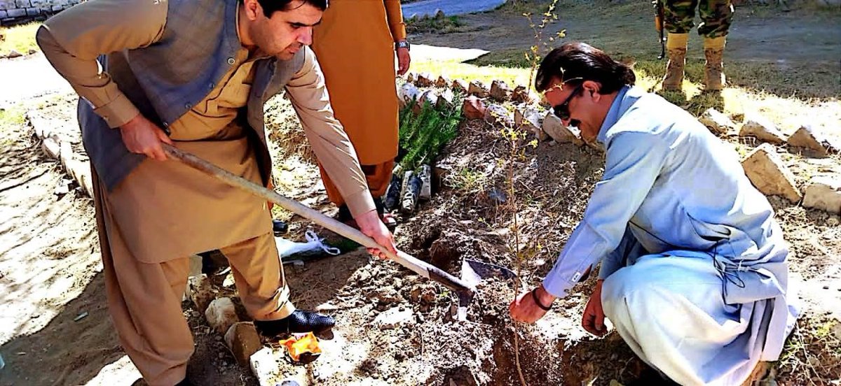 taaleempk's tweet photo. On 17th March 2022, TFGS Kila Saifullah celebrated Plantation Day to create awareness among the young minds about the invaluable resource on our planet – Plants and Trees. All the students and teachers participated in this program....

https://t.co/FKJ9xtjxJJ https://t.co/A8brykq5B5