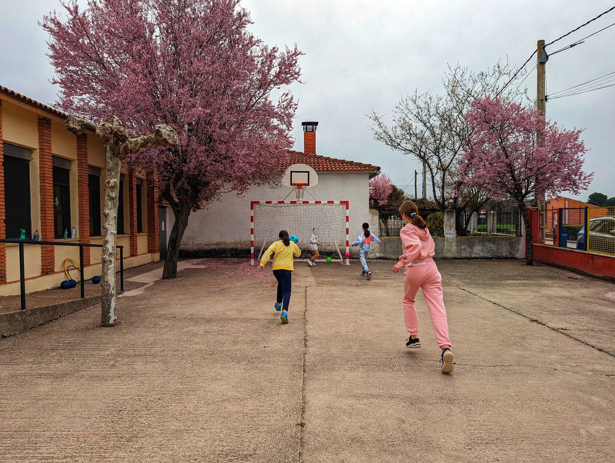 Rincones bonitos en los que practicar nuestro deporte. Balonmano para toda nuestra provincia gracias a <a href="/Dip_Va/">Diputación de Valladolid</a> y @deportesdipu en el CEIP San Roque de Cogeces de Íscar
<a href="/FCYLBM/">Federación de Castilla y León de Balonmano</a>
