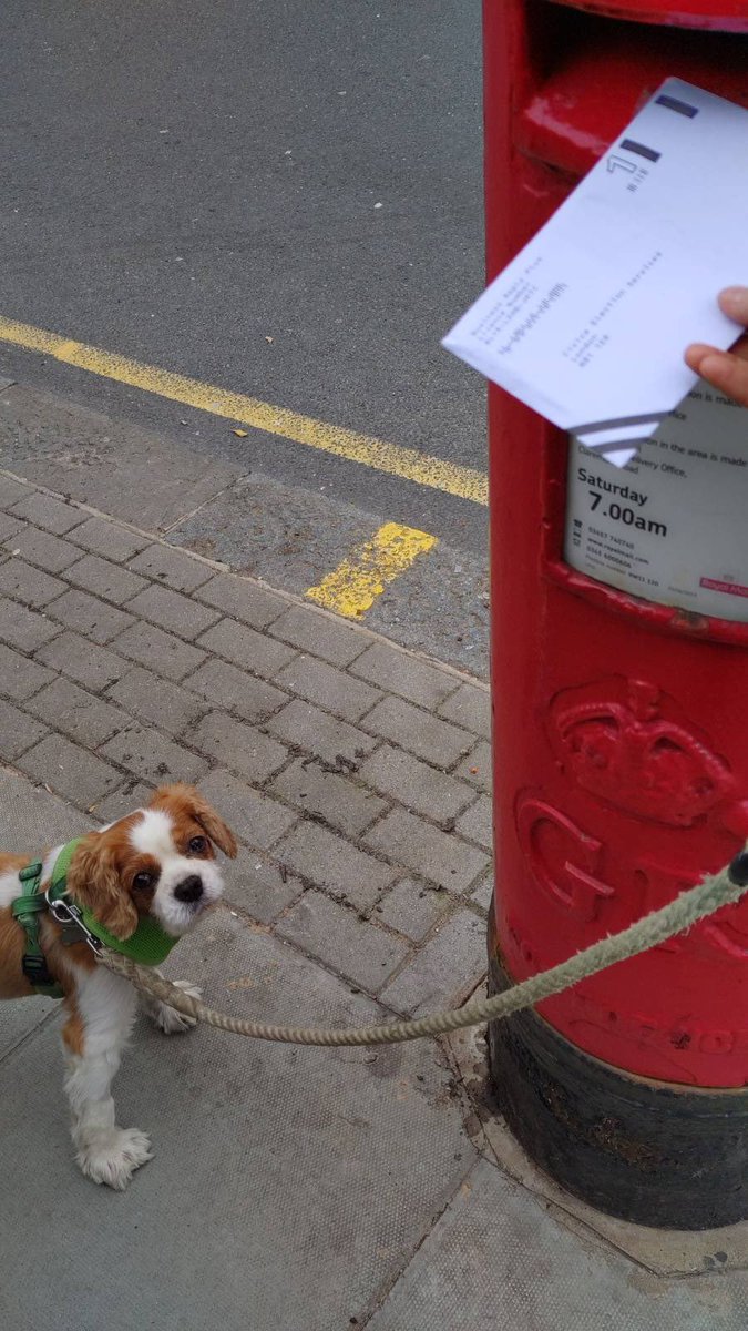 betty_friedrich's tweet photo. Some footage 📸 just leaked showing how our very own ⁦@UCL_UCU⁩ #StrikeTV anchor 📺 🙋‍♀️  ⁦@KahnLily⁩ posted her ⁦ballot papers with some canine help. 📬🐕💪 #OneOfUsAllOfUs #GTVO #GetYourVoteOut 👏👏👏 https://t.co/EenPIfW9Aj