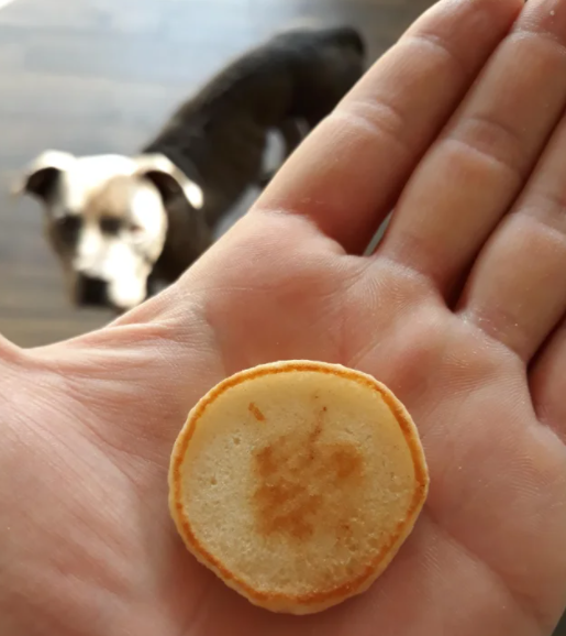 Hungry Jack tweet media